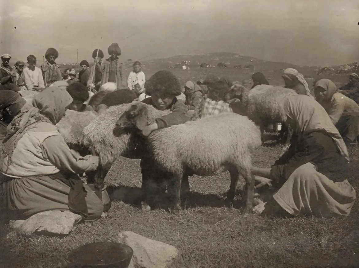 Օձունի կանայք ոչխար են կթում, 1935