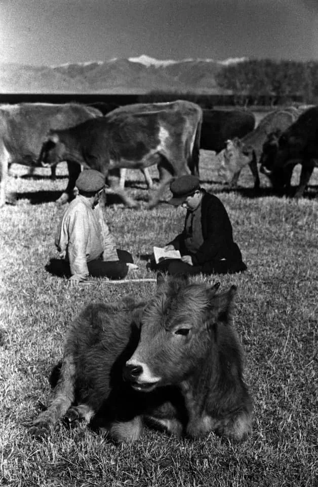 Արարատյան դաշտում, 1938